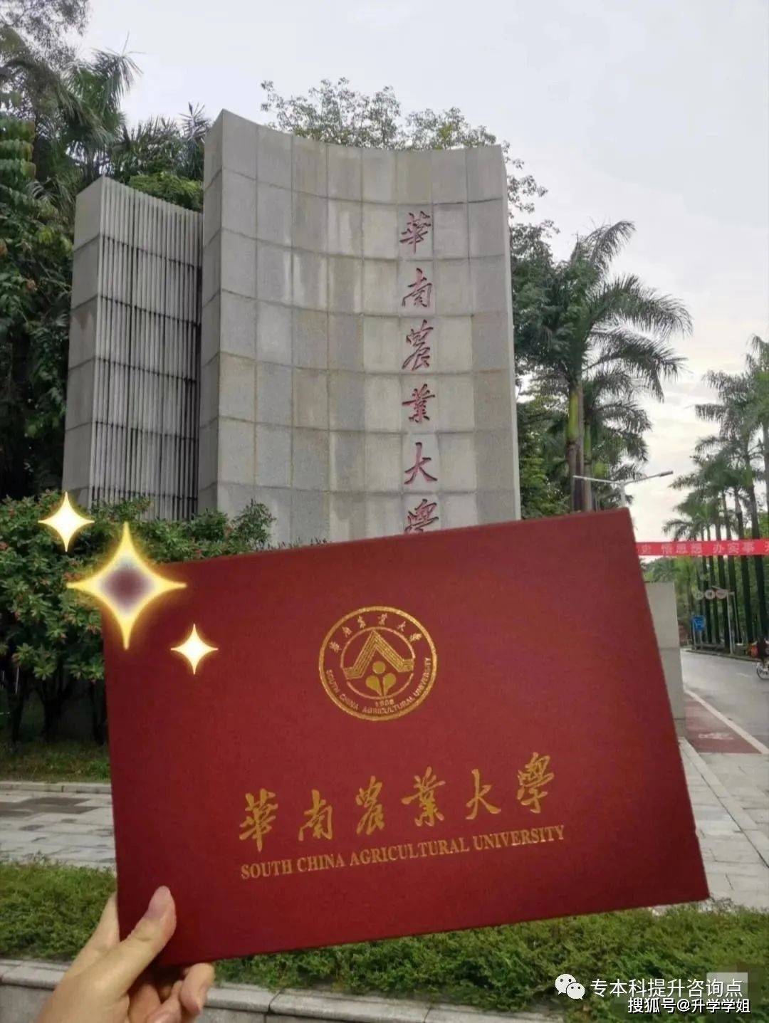 中山大学文凭(中山大学文凭值钱吗)
